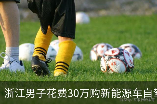 浙江男子花费30万购新能源车自驾西藏，途中遭遇故障影响安全功能